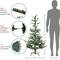4.5ft. Pre-Lit Real Touch™️ Nordmann Artificial Christmas Tree, Warm Clear LED Lights